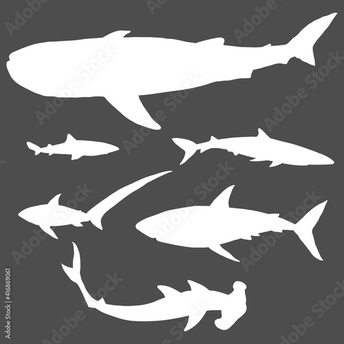 Vector Set of Silhouette Sharks.