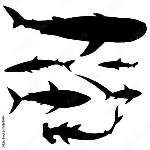 Vector Set of Silhouette Sharks.
