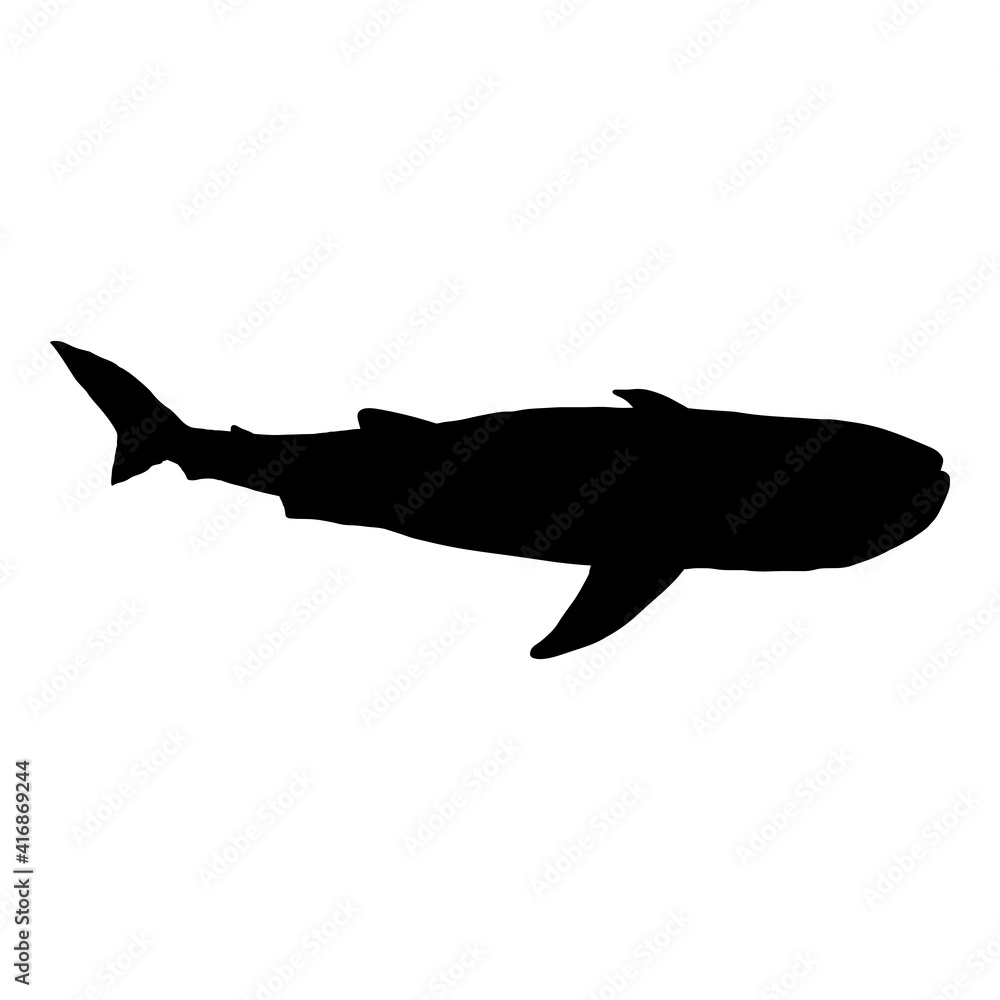 vector-black-silhouette-of-whale-shark-stock-vector-adobe-stock