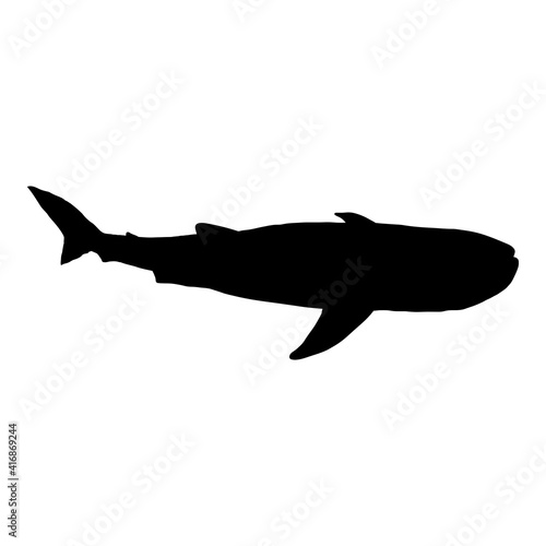 Vector Black Silhouette of Whale Shark.