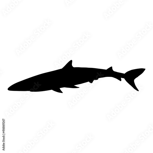 Vector of Blue Shark. Prionace Glauca Illustration.