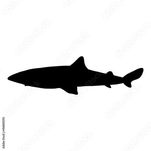 Vector Black Silhouette of Spiny Dogfish. Squalus Acanthias.