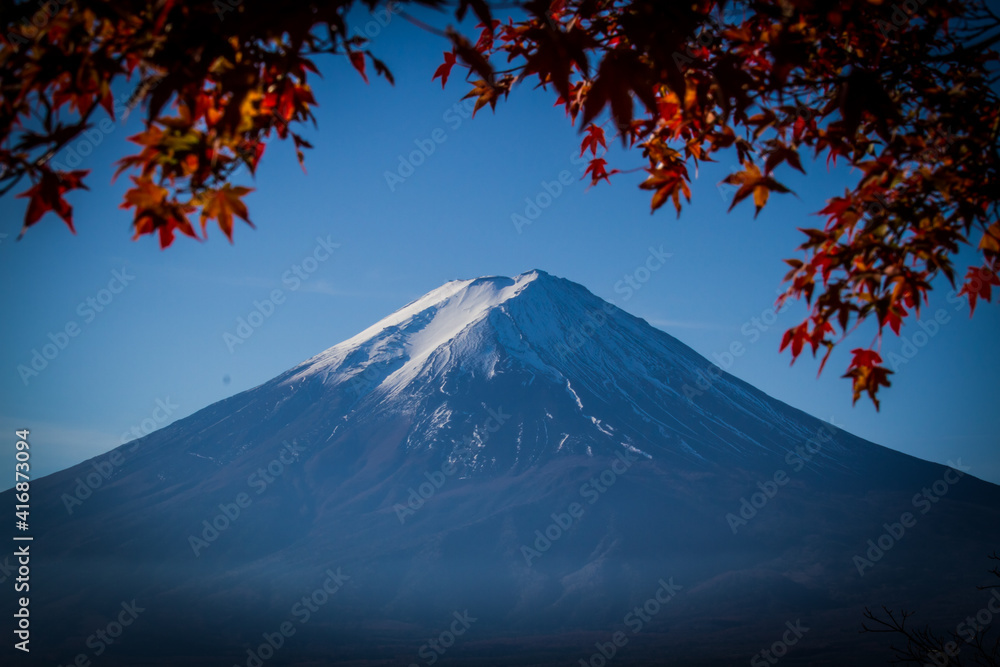 Fototapeta premium Autumn at Mt.Fuji