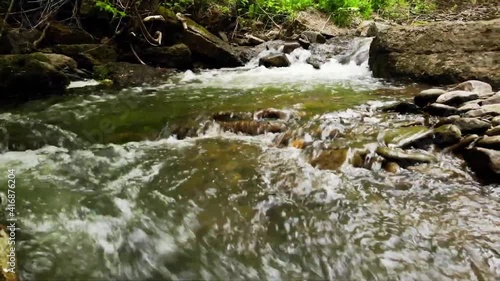beautiful river in the forest