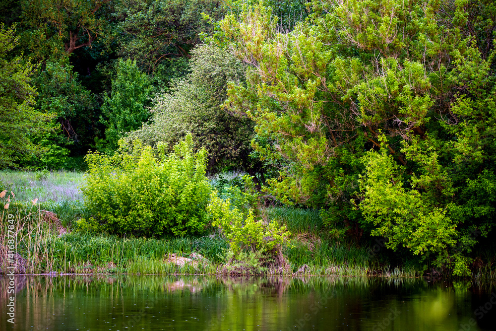 Forest lake or river flow landscape, calm nature background Forest lake or river flow landscape, calm nature background
