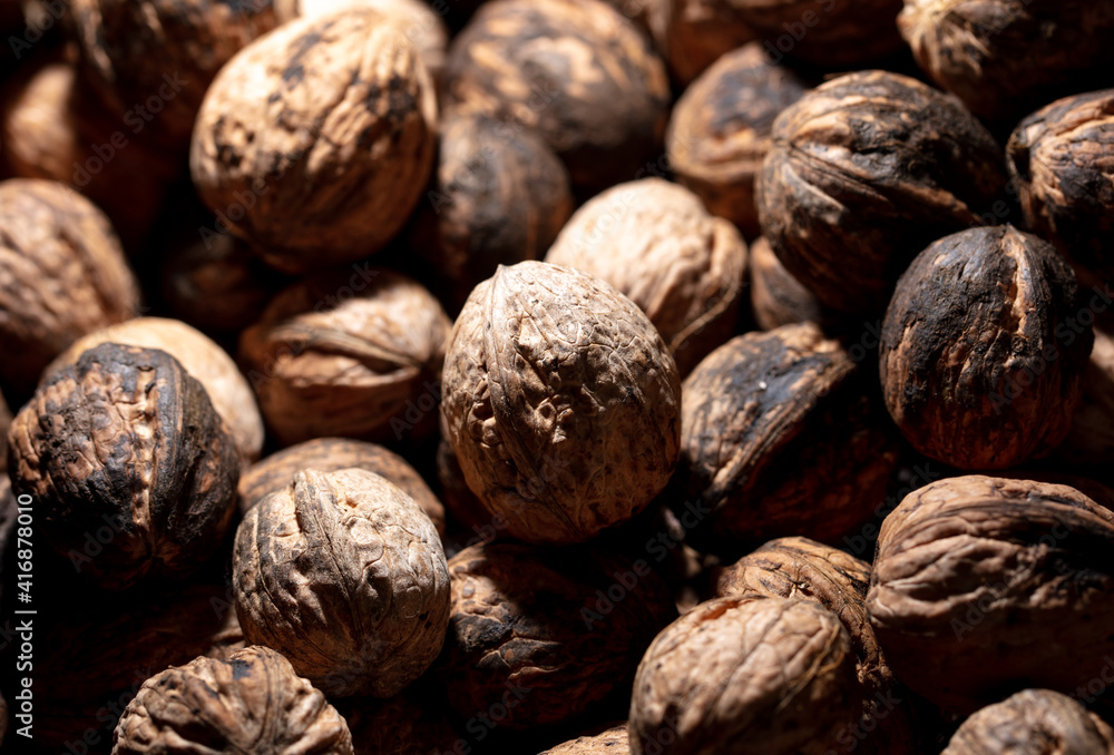 Fresh walnuts on drying as background. Fresh walnuts on drying as background.