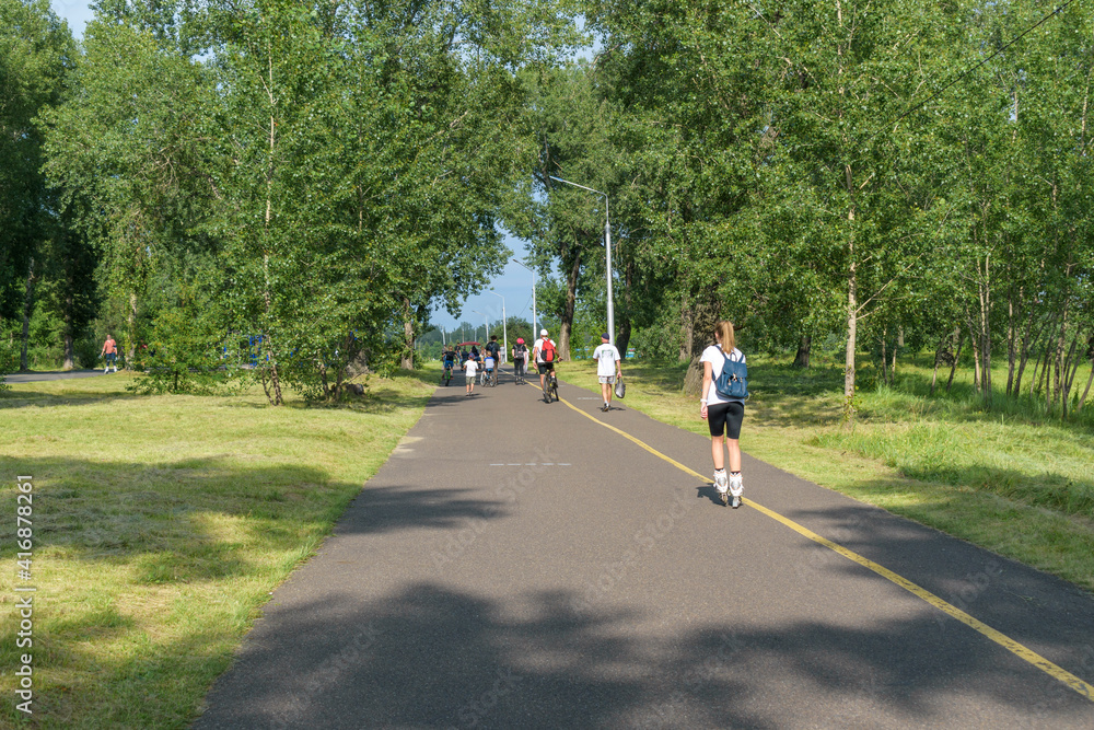 People move along the asphalt path in the park. View from the back. Green trees and grass in summer. Roller skates, bicycle, scooter. The concept of summer family vacation.