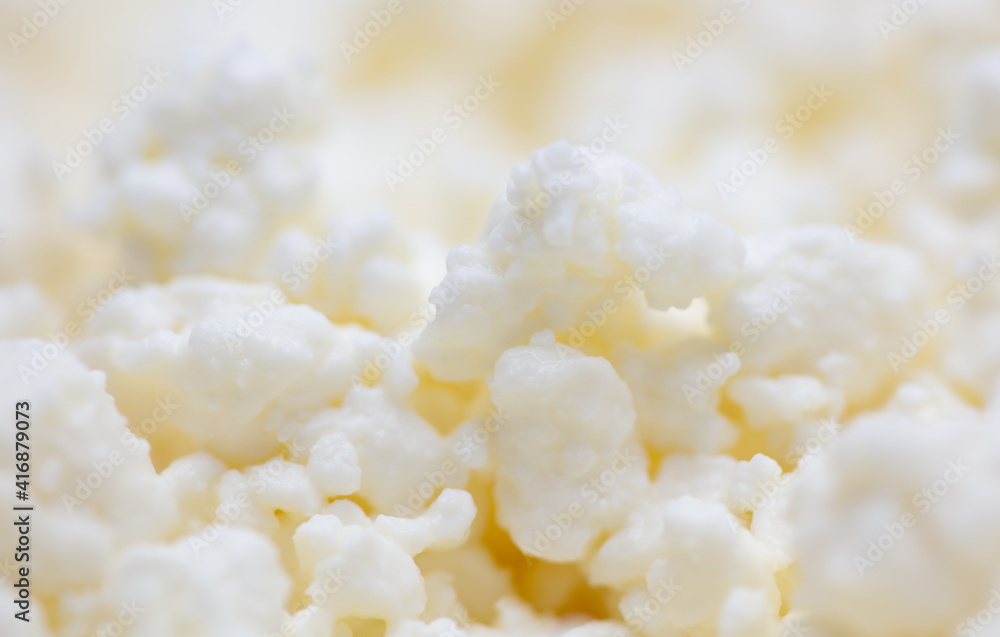 Fresh milk curd as background.