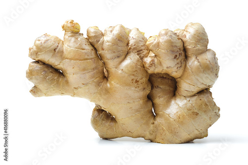  Ginger root. Fresh ginger on white background. Herb medical concept