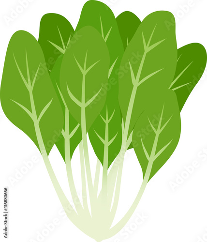 シンプルなほうれん草のイラスト