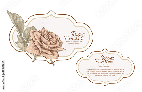 Set of face and back labels, stickers for food products or cosmetics in engraving, vintage, old, retro shabby chic style.. Stock vector illustration.