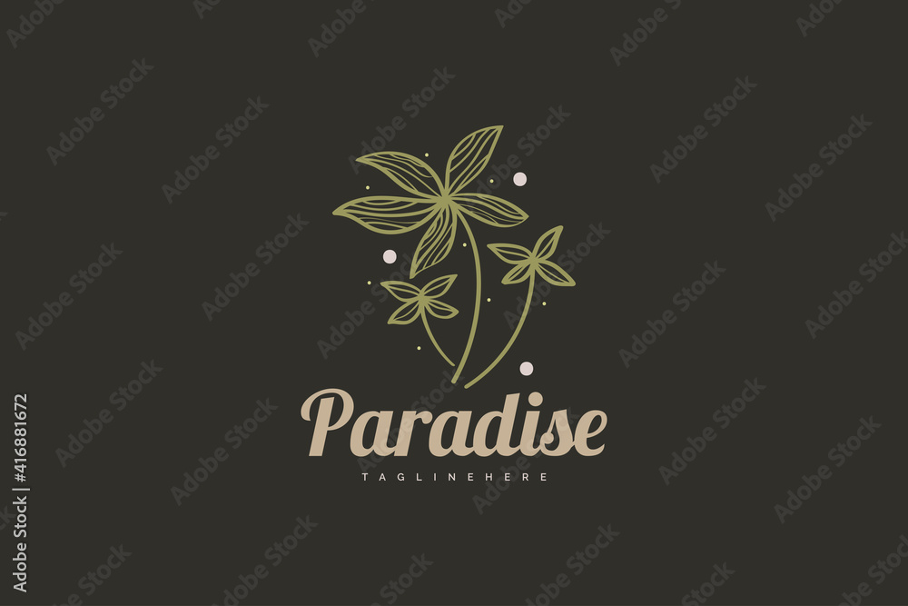 Three coconut trees with abstract ornaments with line concept in vintage style for beauty, health care or natural product logos Three coconut trees with abstract ornaments with line concept in vintage style for beauty, health care or natural product logos