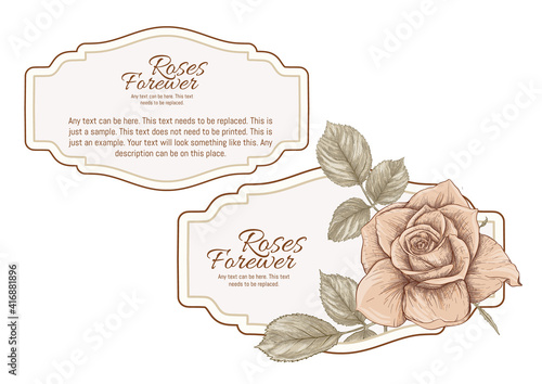 Set of face and back labels, stickers for food products or cosmetics in engraving, vintage, old, retro shabby chic style.. Stock vector illustration.