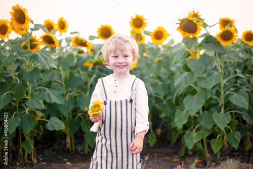 Pretty blondboy dressed fashion style overalls posing in the fieald with sunflowers photo