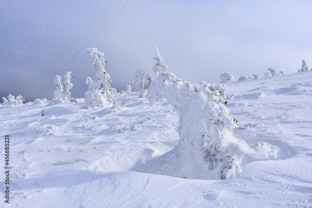 Karkonosze, zima, śnieg, warunki na szlakach, Sudety