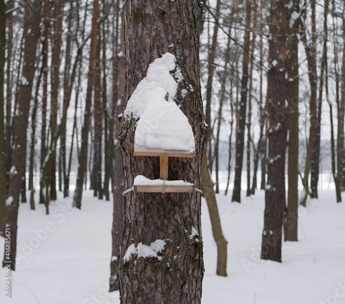 A homemade wooden bird feeder in a winter park on a cloudy snowy day. Birdwatching in a city park