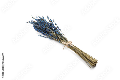 Bunch of beautiful dried flowers on white background