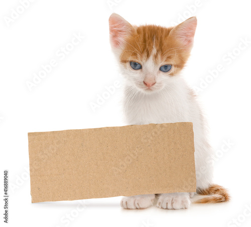 Cute little kitten and blank piece of cardboad on white background. Lonely pet