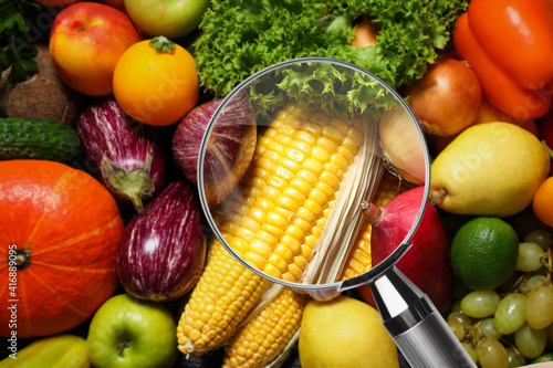 Magnifying glass focusing on corn. Food control