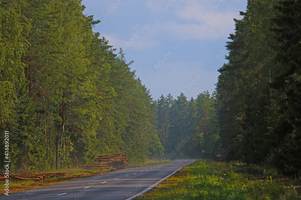 Wet road along the forest after rain. Wet road along the forest after rain.