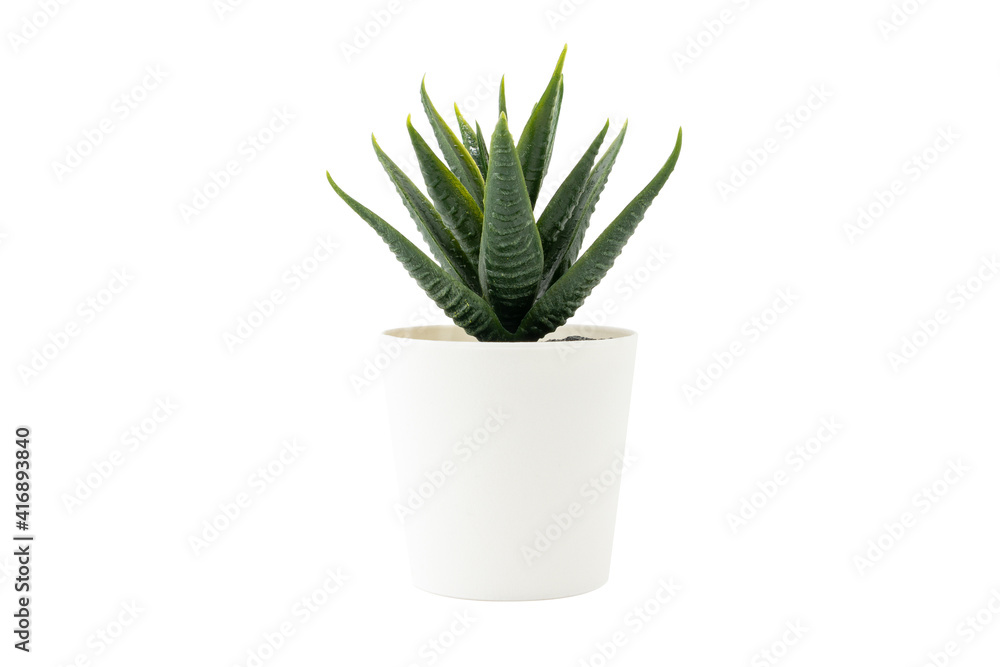 Artificial plant in white pot isolated on white background. Artificial plant in white pot isolated on white background.