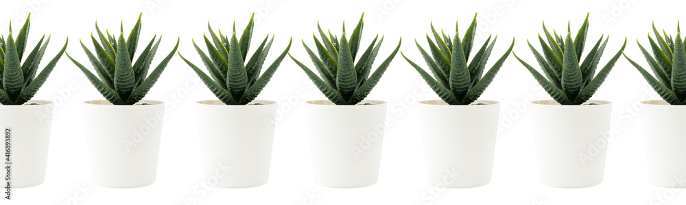 Artificial plant in pot isolated on white background. Perfect for banner and social media post. Artificial plant in pot isolated on white background. Perfect for banner and social media post.
