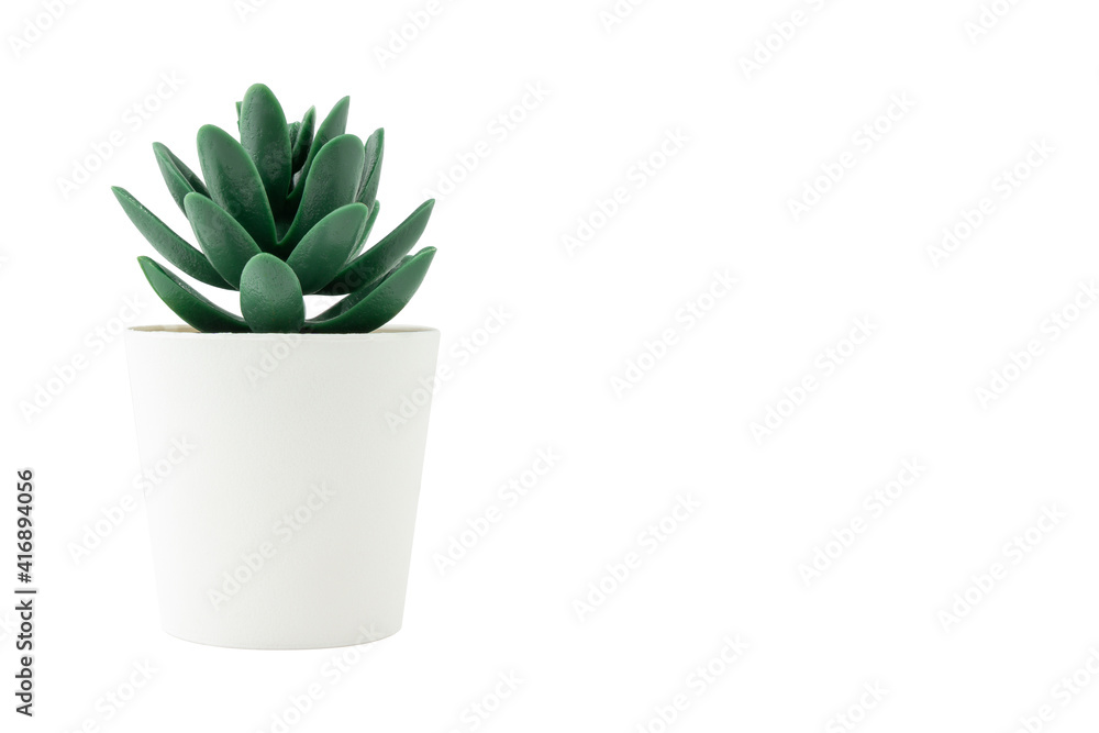 Artificial plant in white pot isolated on white background. Copy space. Artificial plant in white pot isolated on white background. Copy space.