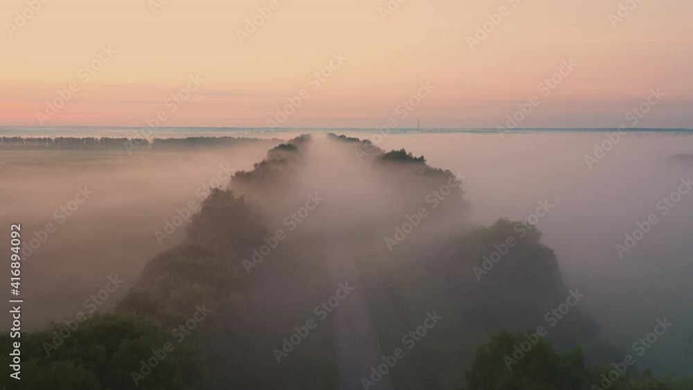 Morning fog over the road in the forest. Morning fog over the road in the forest.