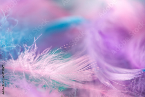 Closeup of fluffy colorful feathers with shallow focus