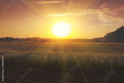 Rural landscape with a cornfield during a magical sunset. Village in autumn