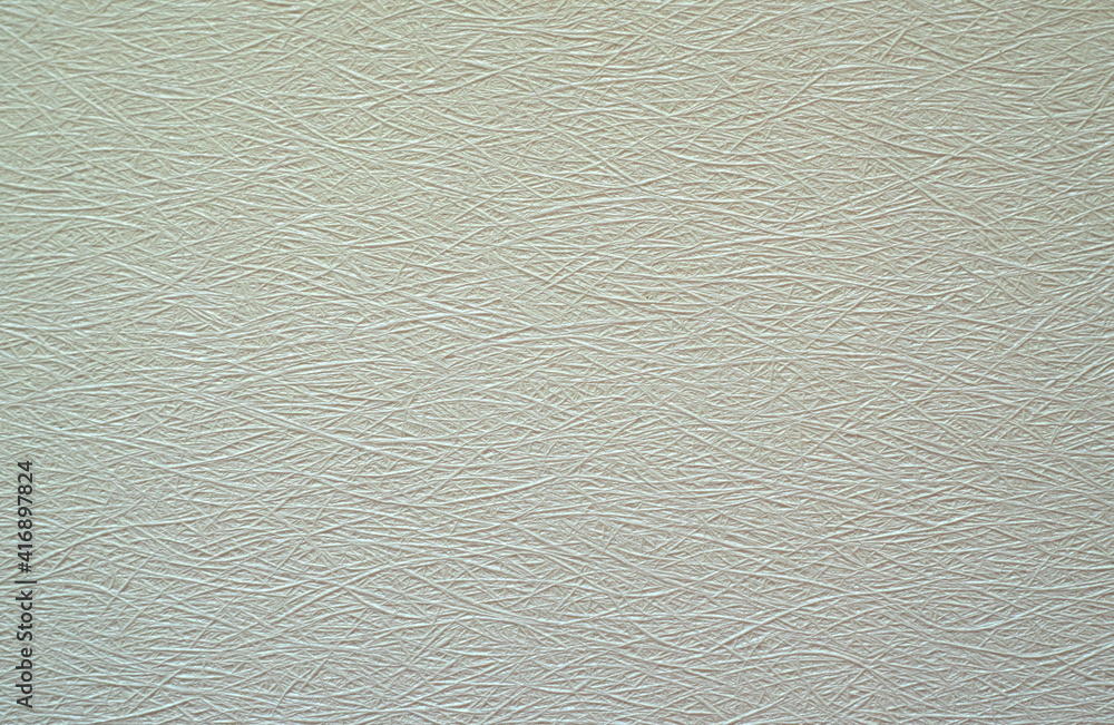 Texture of white wallpaper for painting with fine hairs Texture of white wallpaper for painting with fine hairs