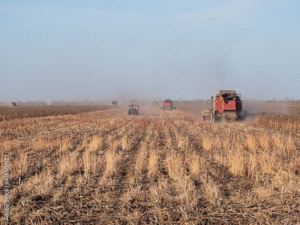 Fototapeta premium Tractors and combines working in the field, harvesting
