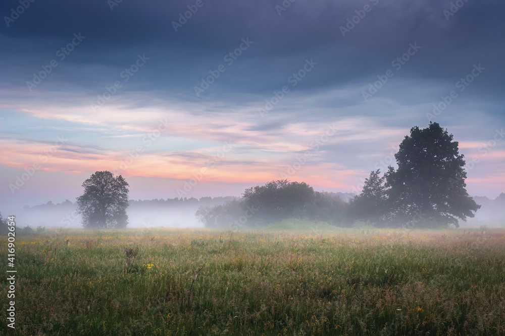 Nature landscape of spring meadow in the mist at dawn. Colorful sky over calm field and trees. Wild nature. Amazing view on a fresh grassy meadow in early morning.