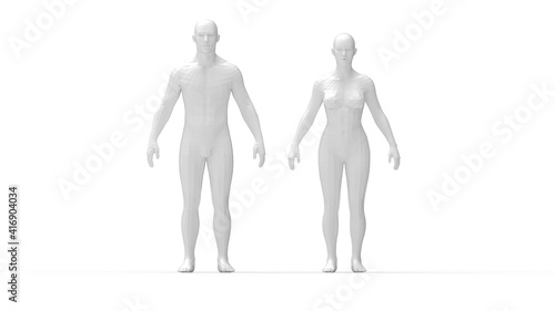 3D rendering of a man and a woman standing anatomical overview.