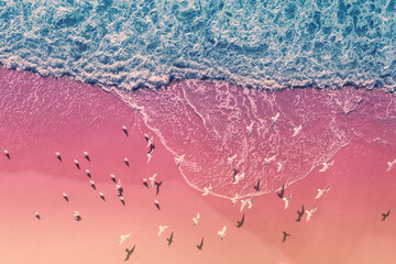 Seascape with seagulls on a sandy beach. Top view of sand and waves. Abstract nature landscape background. Artistic gradient color