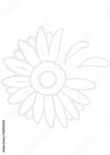 Daisy, Flower, Nature, Summer © Creative Desgin 