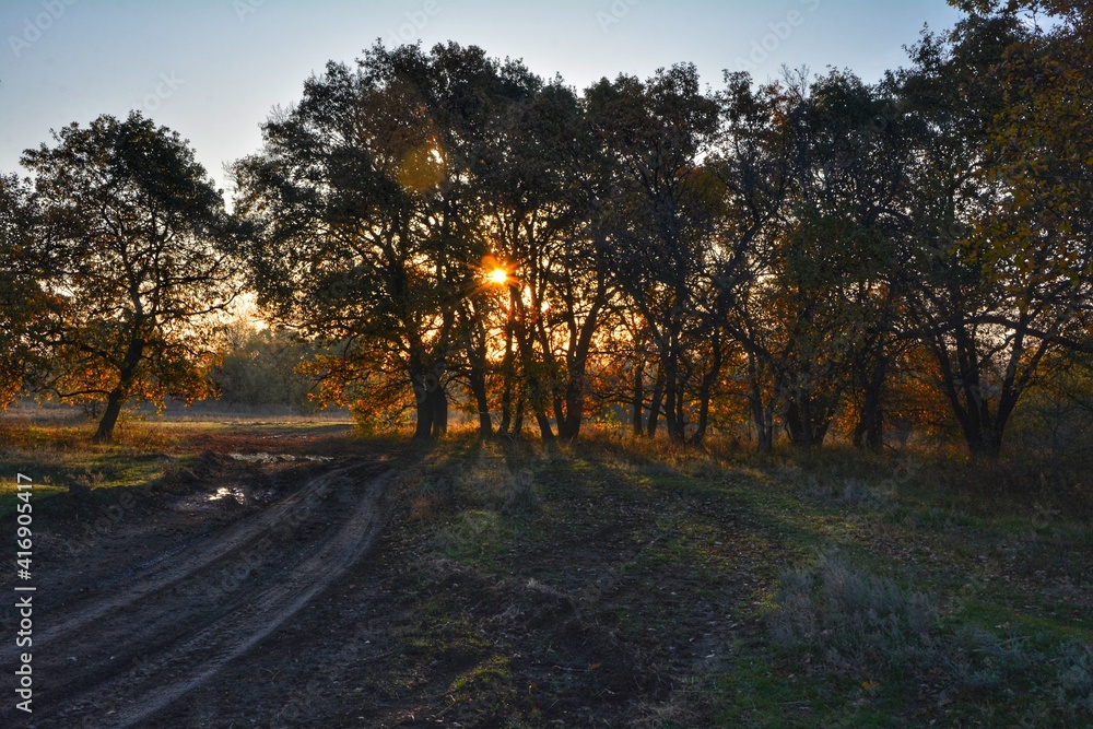 morning dawn the sun rises above the horizon morning dawn the sun rises above the horizon