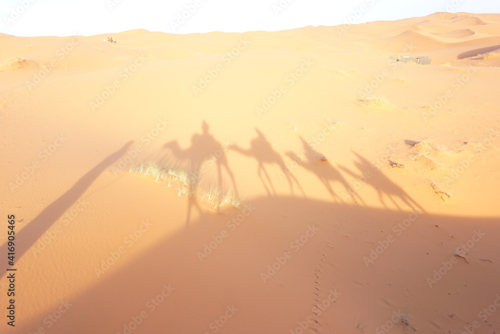ラクダと砂漠
