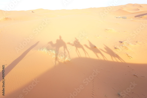 ラクダと砂漠 