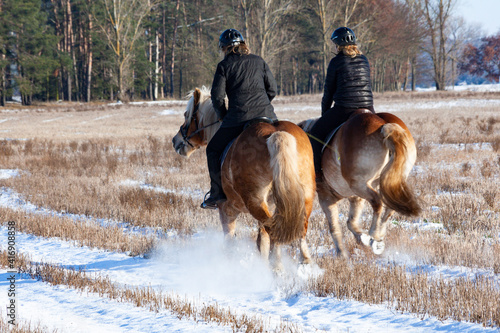 Reiter auf Haflinger Pferde im Winter