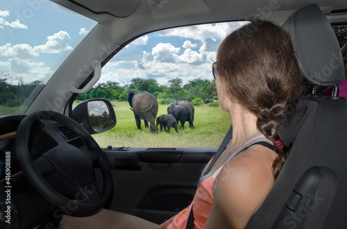 Woman in safari car vacation in South Africa, looking at elephant in savannah, african animals game drive
