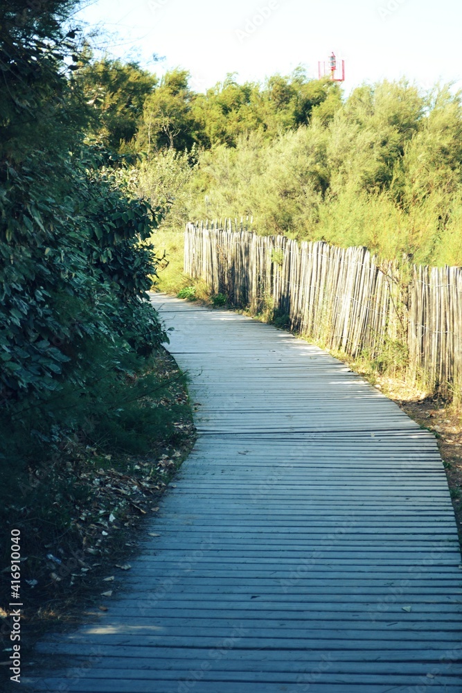 Fototapeta premium Sentier de plage 