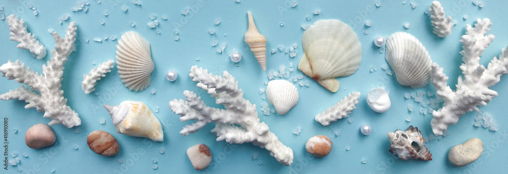 Shells, pebbles, coral tree on a pale blue background. Banner. The concept of a tropical holiday Shells, pebbles, coral tree on a pale blue background. Banner. The concept of a tropical holiday