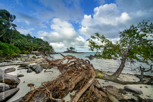 Wild beach on the Seychelles island. The white sand is covered with algae, dry trees.