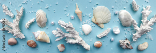 Shells, pebbles, coral tree on a pale blue background. Banner. The concept of a tropical holiday