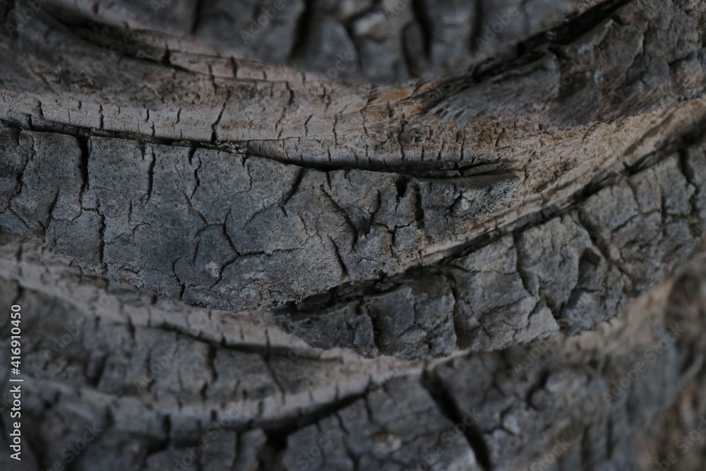 old wood texture old wood texture
