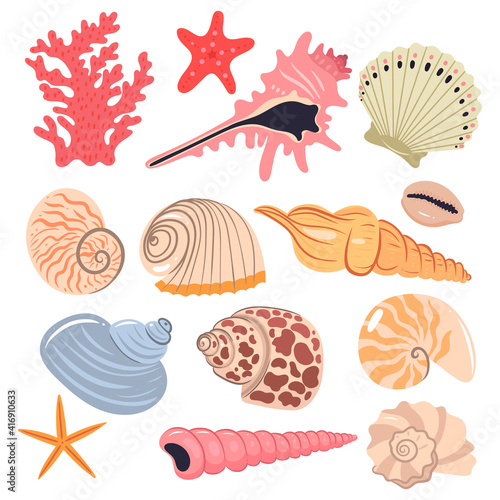 Set of sea shells isolated on a white background. Vector graphics.