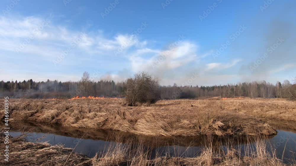 Forest fire and field fire, dry grass burns. A bushfire burning, spring Wildfire. Wild Fire burns stubble on the farm Forest fire and field fire, dry grass burns. A bushfire burning, spring Wildfire. Wild Fire burns stubble on the farm