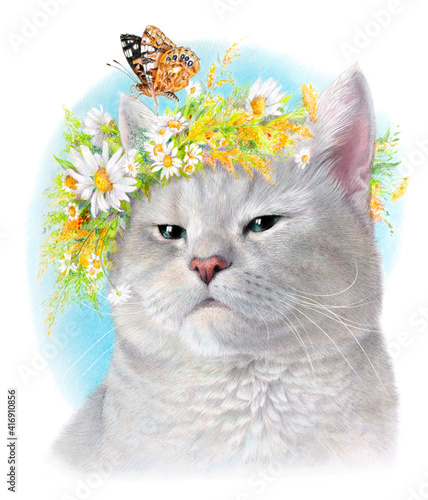 Realistic portrait of a gray cat with a wreath of daisies and a butterfly. Isolated on a white background. Color portrait