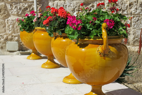 vases and red flowers photo